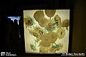 VBS_8046 - Van_Gogh_experience